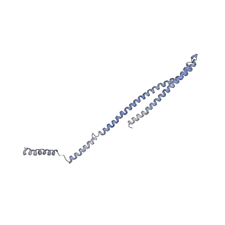 15497_8aky_S_v1-0
290 A SynPspA rod after incubation with ATP