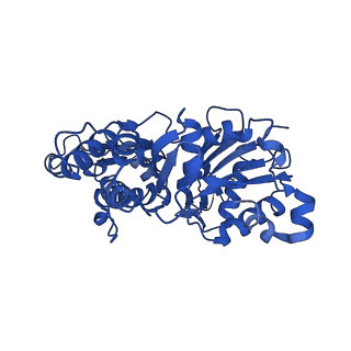 11818_7aln_A_v1-0
Cryo-EM structure of the divergent actomyosin complex from Plasmodium falciparum Myosin A in the Rigor state