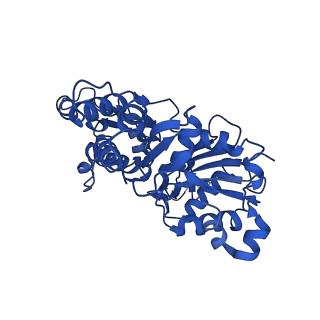 11818_7aln_B_v1-0
Cryo-EM structure of the divergent actomyosin complex from Plasmodium falciparum Myosin A in the Rigor state