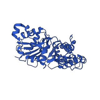 11818_7aln_D_v1-0
Cryo-EM structure of the divergent actomyosin complex from Plasmodium falciparum Myosin A in the Rigor state