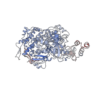 11818_7aln_F_v1-0
Cryo-EM structure of the divergent actomyosin complex from Plasmodium falciparum Myosin A in the Rigor state