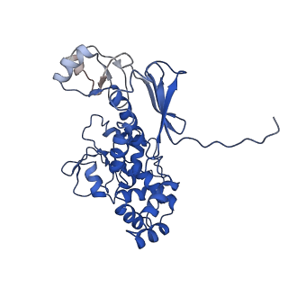 11820_7alw_A_v1-1
Nonameric cytoplasmic domain of SctV from Yersinia enterocolitica
