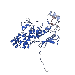 11820_7alw_C_v1-1
Nonameric cytoplasmic domain of SctV from Yersinia enterocolitica