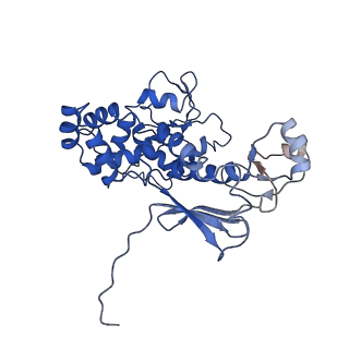 11820_7alw_D_v1-1
Nonameric cytoplasmic domain of SctV from Yersinia enterocolitica