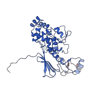 11820_7alw_E_v1-1
Nonameric cytoplasmic domain of SctV from Yersinia enterocolitica