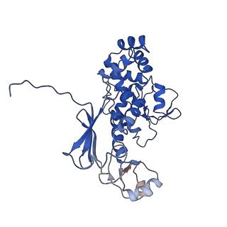 11820_7alw_F_v1-1
Nonameric cytoplasmic domain of SctV from Yersinia enterocolitica