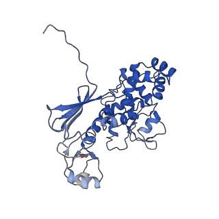 11820_7alw_G_v1-1
Nonameric cytoplasmic domain of SctV from Yersinia enterocolitica