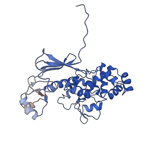 11820_7alw_H_v1-1
Nonameric cytoplasmic domain of SctV from Yersinia enterocolitica