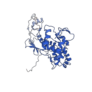 11820_7alw_J_v1-1
Nonameric cytoplasmic domain of SctV from Yersinia enterocolitica