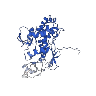 11820_7alw_M_v1-1
Nonameric cytoplasmic domain of SctV from Yersinia enterocolitica