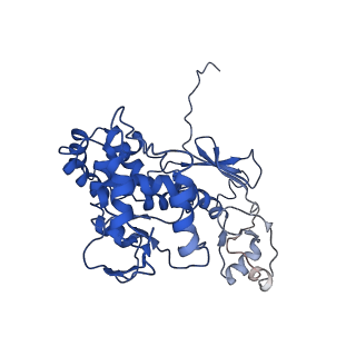 11820_7alw_O_v1-1
Nonameric cytoplasmic domain of SctV from Yersinia enterocolitica