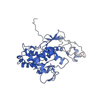 11820_7alw_P_v1-1
Nonameric cytoplasmic domain of SctV from Yersinia enterocolitica