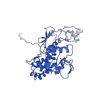 11820_7alw_Q_v1-1
Nonameric cytoplasmic domain of SctV from Yersinia enterocolitica