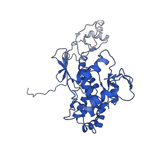 11820_7alw_R_v1-1
Nonameric cytoplasmic domain of SctV from Yersinia enterocolitica