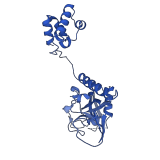 15520_8aly_A_v1-2
Cryo-EM structure of human tankyrase 2 SAM-PARP filament (G1032W mutant)