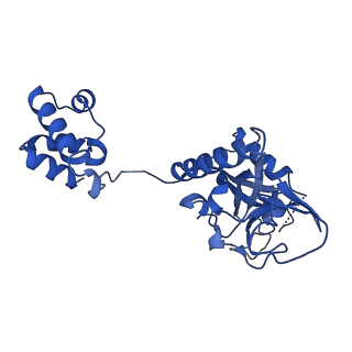 15520_8aly_B_v1-2
Cryo-EM structure of human tankyrase 2 SAM-PARP filament (G1032W mutant)