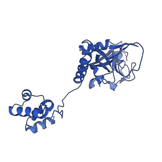 15520_8aly_C_v1-2
Cryo-EM structure of human tankyrase 2 SAM-PARP filament (G1032W mutant)