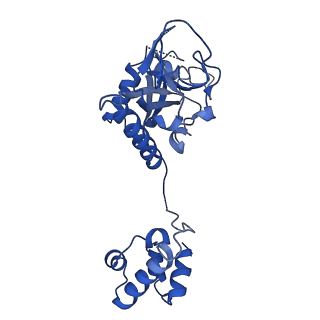 15520_8aly_D_v1-2
Cryo-EM structure of human tankyrase 2 SAM-PARP filament (G1032W mutant)