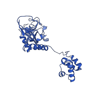 15520_8aly_E_v1-2
Cryo-EM structure of human tankyrase 2 SAM-PARP filament (G1032W mutant)