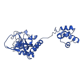 15520_8aly_F_v1-2
Cryo-EM structure of human tankyrase 2 SAM-PARP filament (G1032W mutant)