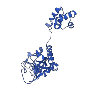 15520_8aly_G_v1-2
Cryo-EM structure of human tankyrase 2 SAM-PARP filament (G1032W mutant)
