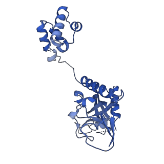 15520_8aly_H_v1-2
Cryo-EM structure of human tankyrase 2 SAM-PARP filament (G1032W mutant)