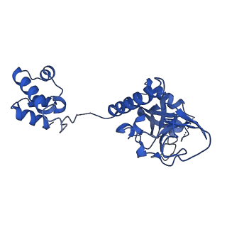 15520_8aly_I_v1-2
Cryo-EM structure of human tankyrase 2 SAM-PARP filament (G1032W mutant)