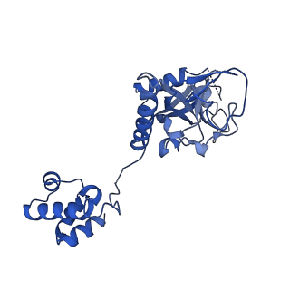 15520_8aly_J_v1-2
Cryo-EM structure of human tankyrase 2 SAM-PARP filament (G1032W mutant)