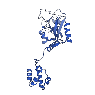 15520_8aly_K_v1-2
Cryo-EM structure of human tankyrase 2 SAM-PARP filament (G1032W mutant)