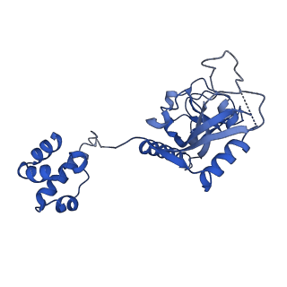 15520_8aly_L_v1-2
Cryo-EM structure of human tankyrase 2 SAM-PARP filament (G1032W mutant)