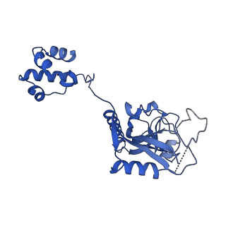 15520_8aly_M_v1-2
Cryo-EM structure of human tankyrase 2 SAM-PARP filament (G1032W mutant)