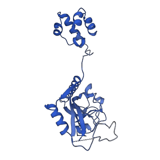 15520_8aly_N_v1-2
Cryo-EM structure of human tankyrase 2 SAM-PARP filament (G1032W mutant)