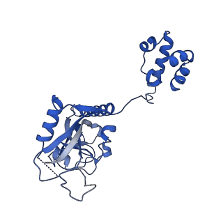 15520_8aly_O_v1-2
Cryo-EM structure of human tankyrase 2 SAM-PARP filament (G1032W mutant)