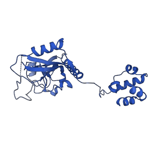 15520_8aly_P_v1-2
Cryo-EM structure of human tankyrase 2 SAM-PARP filament (G1032W mutant)