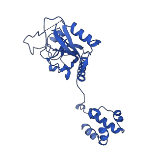 15520_8aly_Q_v1-2
Cryo-EM structure of human tankyrase 2 SAM-PARP filament (G1032W mutant)