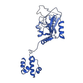 15520_8aly_R_v1-2
Cryo-EM structure of human tankyrase 2 SAM-PARP filament (G1032W mutant)
