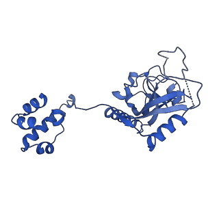 15520_8aly_S_v1-2
Cryo-EM structure of human tankyrase 2 SAM-PARP filament (G1032W mutant)