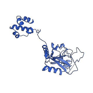 15520_8aly_T_v1-2
Cryo-EM structure of human tankyrase 2 SAM-PARP filament (G1032W mutant)