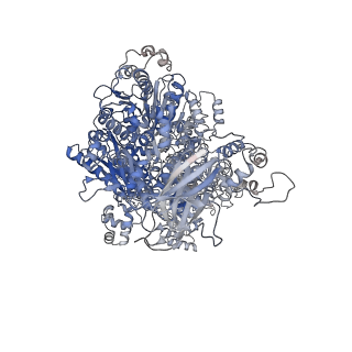 15521_8alz_B_v1-0
Cryo-EM structure of ASCC3 in complex with ASC1