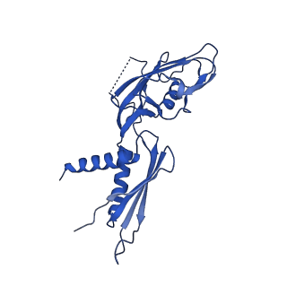 8584_6alg_G_v1-6
CryoEM structure of HK022 Nun - E.coli RNA polymerase elongation complex