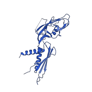 8584_6alg_G_v1-7
CryoEM structure of HK022 Nun - E.coli RNA polymerase elongation complex