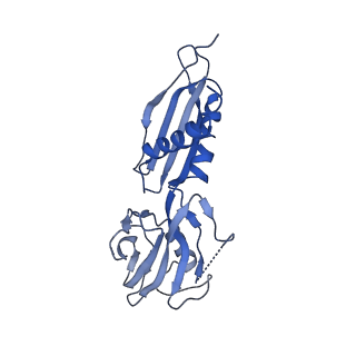 8584_6alg_H_v1-6
CryoEM structure of HK022 Nun - E.coli RNA polymerase elongation complex