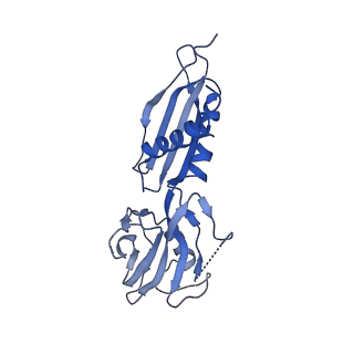 8584_6alg_H_v1-7
CryoEM structure of HK022 Nun - E.coli RNA polymerase elongation complex