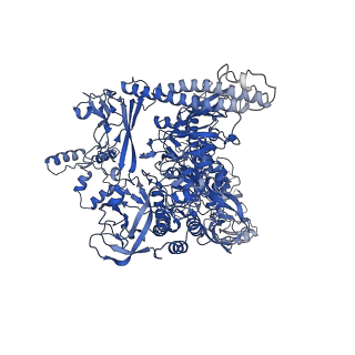 8584_6alg_I_v1-6
CryoEM structure of HK022 Nun - E.coli RNA polymerase elongation complex