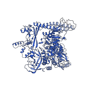 8584_6alg_I_v1-7
CryoEM structure of HK022 Nun - E.coli RNA polymerase elongation complex