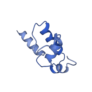 8584_6alg_K_v1-6
CryoEM structure of HK022 Nun - E.coli RNA polymerase elongation complex