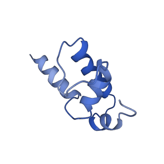 8584_6alg_K_v1-7
CryoEM structure of HK022 Nun - E.coli RNA polymerase elongation complex