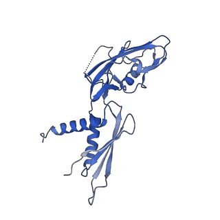 8585_6alf_G_v1-6
CryoEM structure of crosslinked E.coli RNA polymerase elongation complex