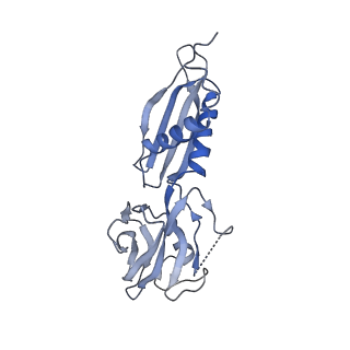 8585_6alf_H_v1-6
CryoEM structure of crosslinked E.coli RNA polymerase elongation complex