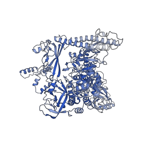 8585_6alf_I_v1-6
CryoEM structure of crosslinked E.coli RNA polymerase elongation complex
